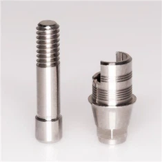 Tibase-abutment