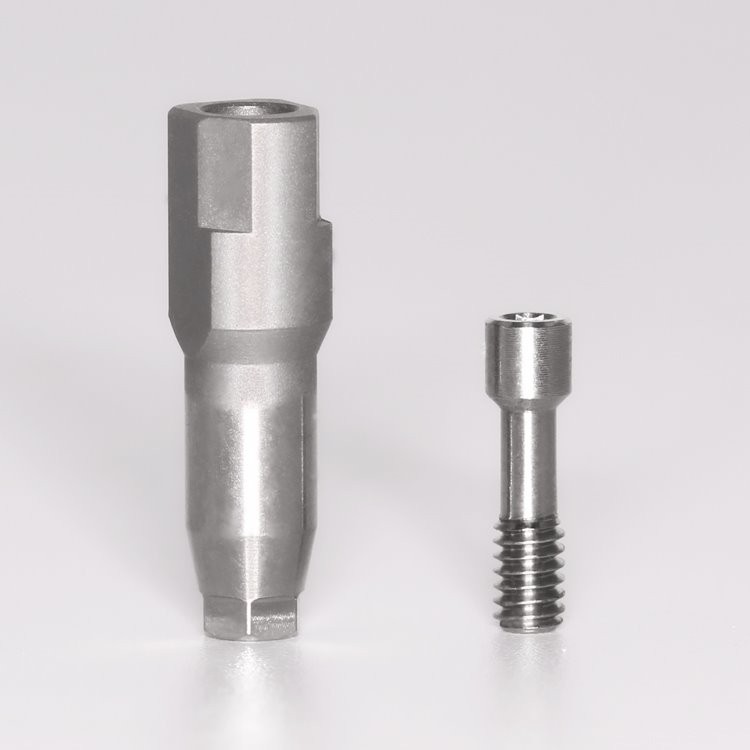 Straumann Implantaat Scan Body