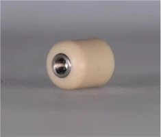 Straumann genezingscap